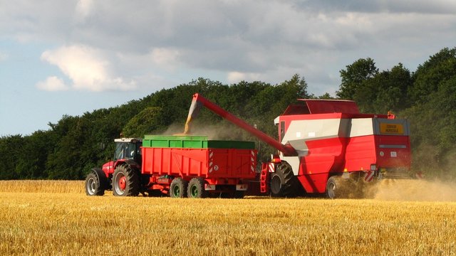 Tracteur et moissonneuse rouge