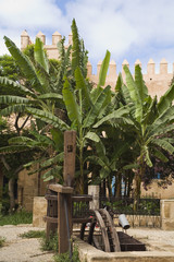 jardins intérieurs de Rabat, Maroc