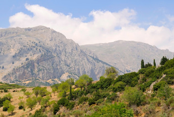 Fototapeta na wymiar the mountain Parnassus in Greece