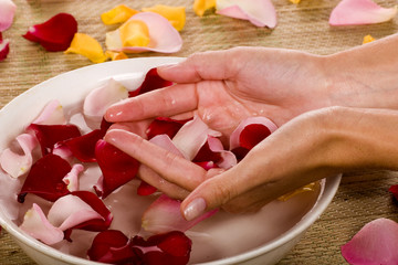Woman hands and rose petals