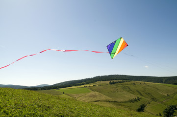 Drachen 6