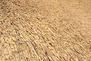 Chaume (détail)