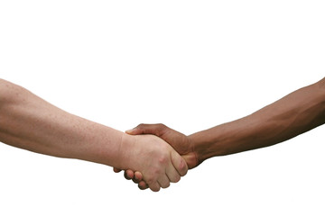 Multiracial Handshake Isolated on White