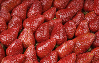 Bright Red Strawberries
