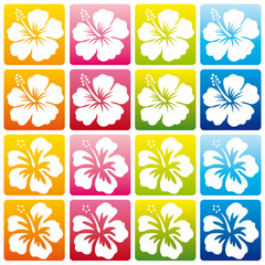 Texture hibiscus © Krowtraerc