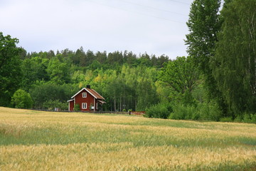 schwedische impressionen