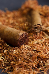 tabacco - sigaro