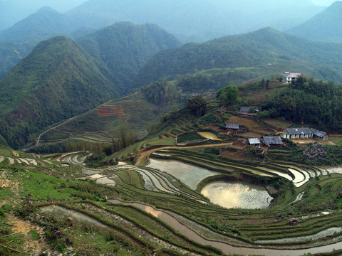 Rice paddy field in Sapa, Vietnam