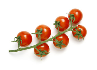 Tomatoes on white