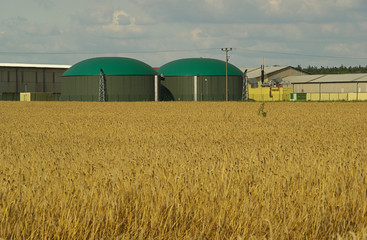 Biogasanlage - biogas plant 11