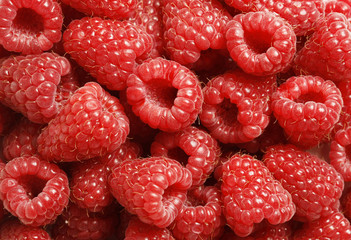 Close-up of fresh red raspberries