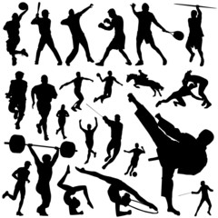 collection of sports vector