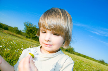 child in the meadow