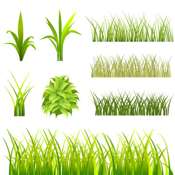set of grass vector