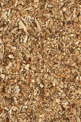 Holzmuster