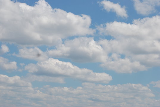 Dfffd Immagini - Sfoglia 9 foto, vettoriali e video Stock | Adobe Stock