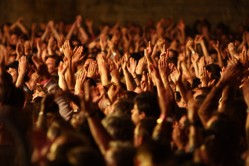 foule délire fan concert musique spectateur bras main