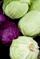 Obraz premium Green Cabbage