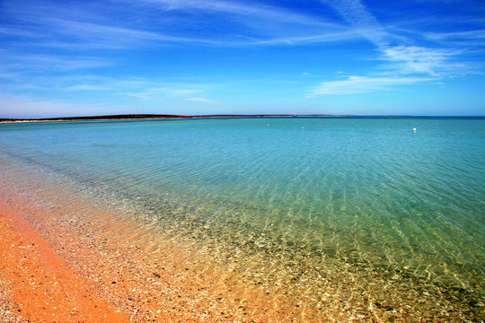 Monkey Mia beach, Western Australia