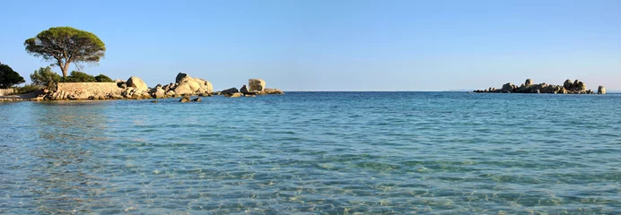 Photo sur Plexiglas Anti-reflet Plage de Palombaggia, Corse Corse