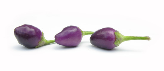 Paprikas hot violet hot peppers