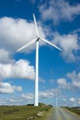 Wind turbine