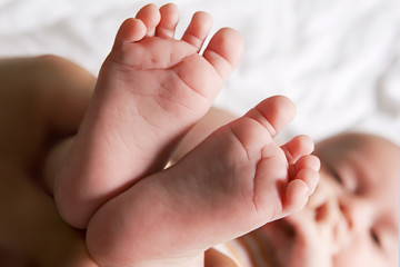 les pieds de bebe de 2 mois - obrazy, fototapety, plakaty