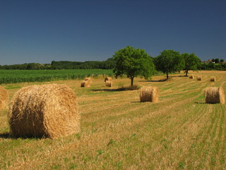 Dordogne, Périgord Vert