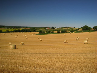 Obraz premium Dordogne, Périgord Vert