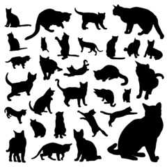 collection of cat vector
