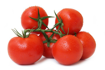 Tomaten isoliert