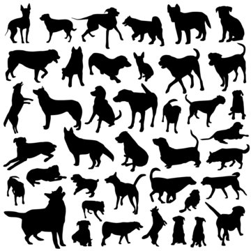 collection of dog vector