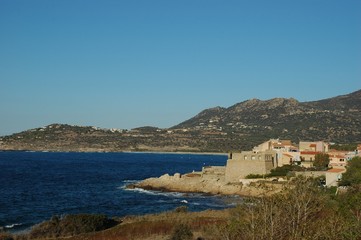 calvi 5