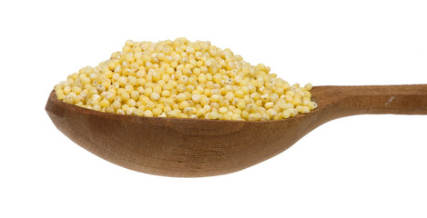 Millet In A Spoon