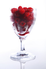 Highend shot - Frische Himbeeren