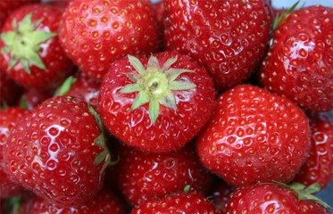 Erdbeeren