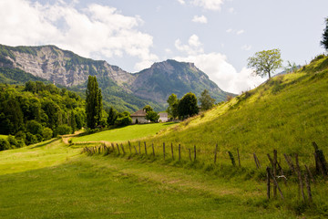 Fototapeta na wymiar Paysage de Savoie en été