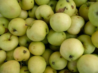 Klarapfel