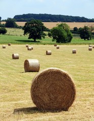 hay bales