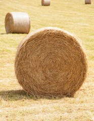 hay bales