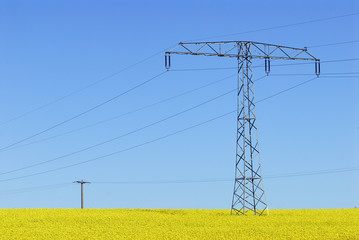 Hochspannungsmast in einem Rapsfeld