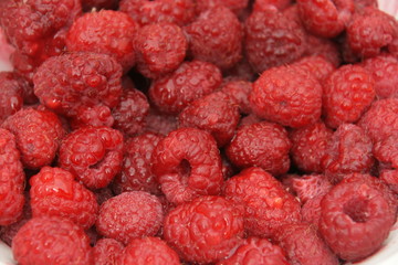 framboises