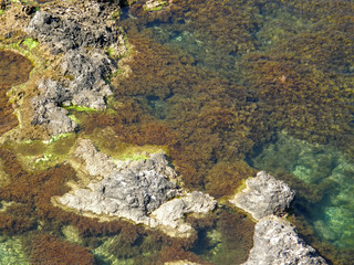 sea coast. The western Crimea. Tarhankut