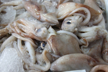 Fresh octopus on ice