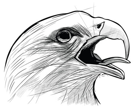 Ink drawing of the famous eagle of Langkawi island