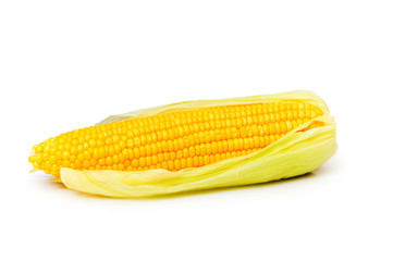 Corn cobs isolated on the white background