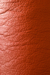 Fototapeta premium red leather