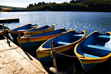 Obraz premium boats on lake