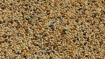 Bird seed background