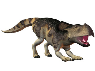 Protoceratops-3D Dinosaurier
